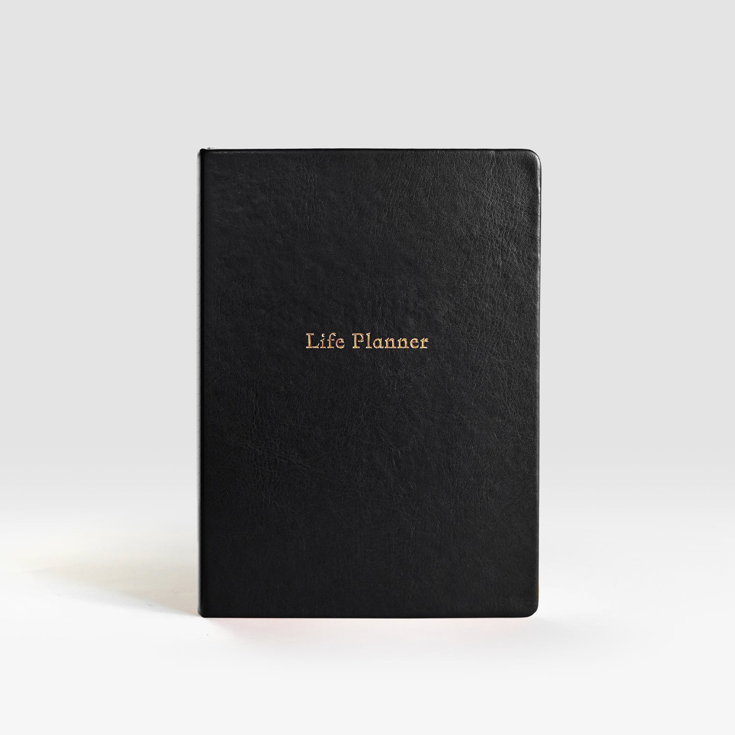 Life Planner | 6 Month Undated