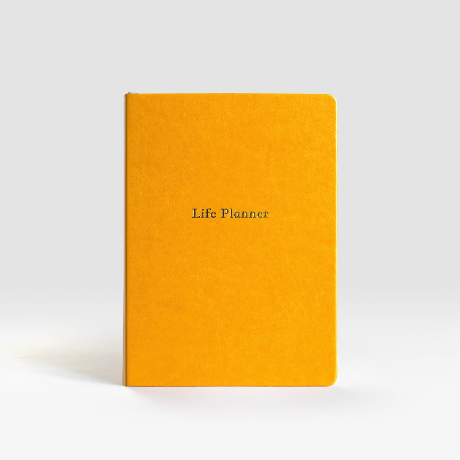 Life Planner | 6 Month Undated