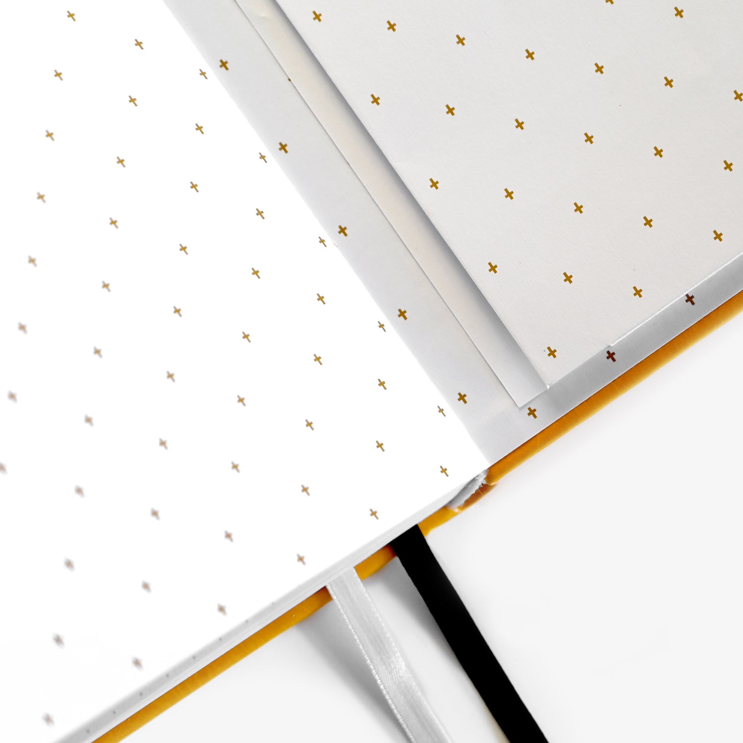 Life Planner | 6 Month Undated