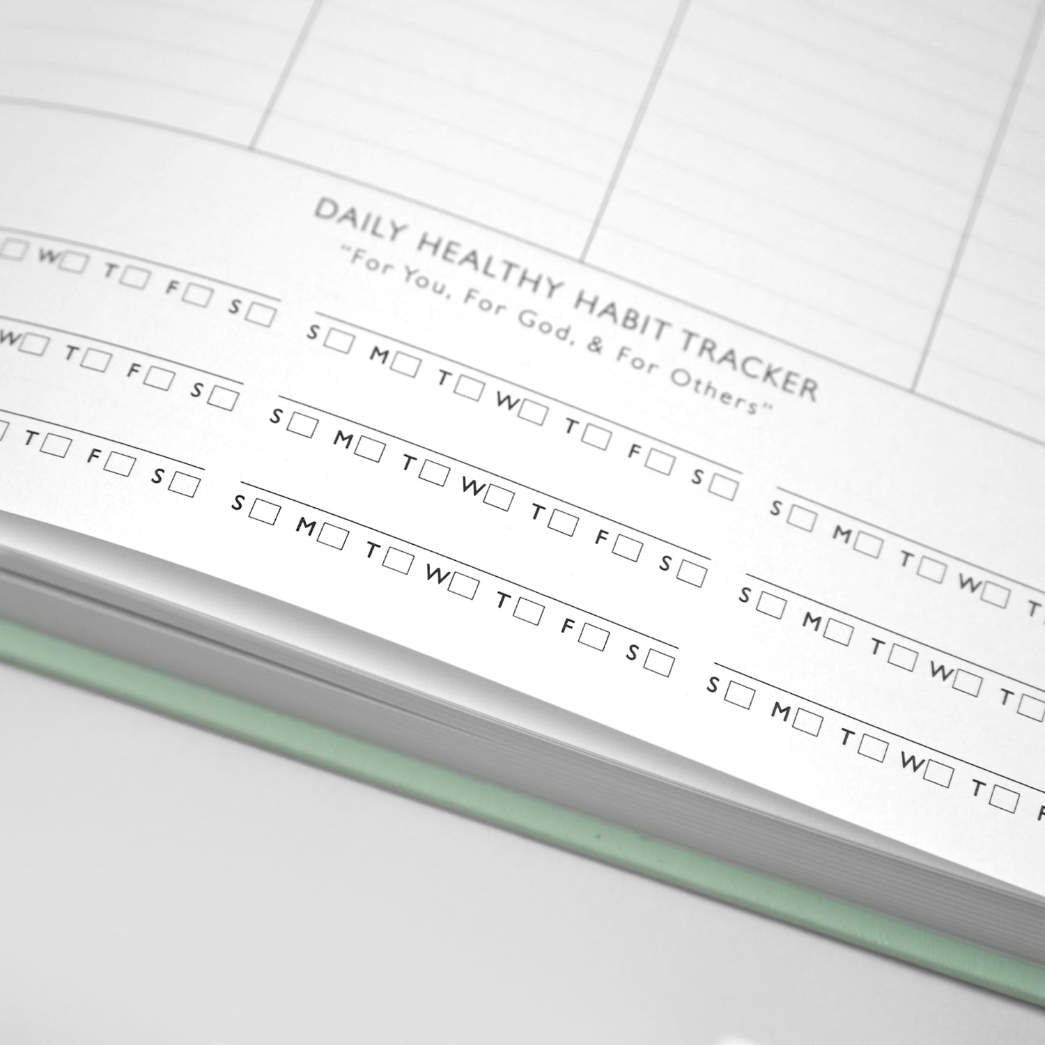 The Bible Bundle - 2026 Christian Planner & The Gospels