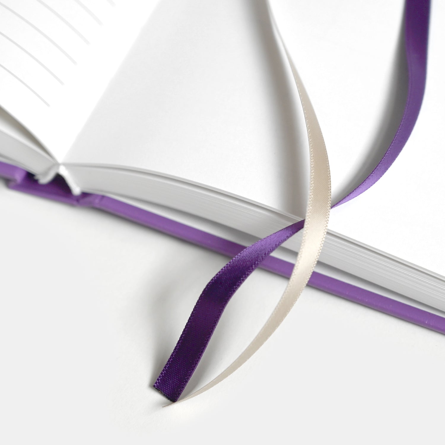 The Bible Bundle - 2026 Christian Planner & The Gospels