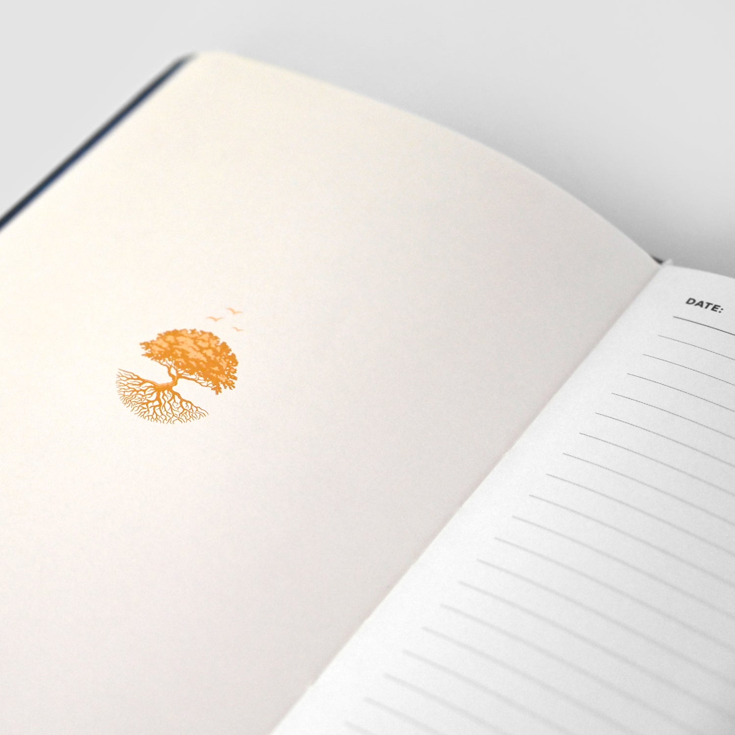 Resilience Journal - Product Image 010.jpg