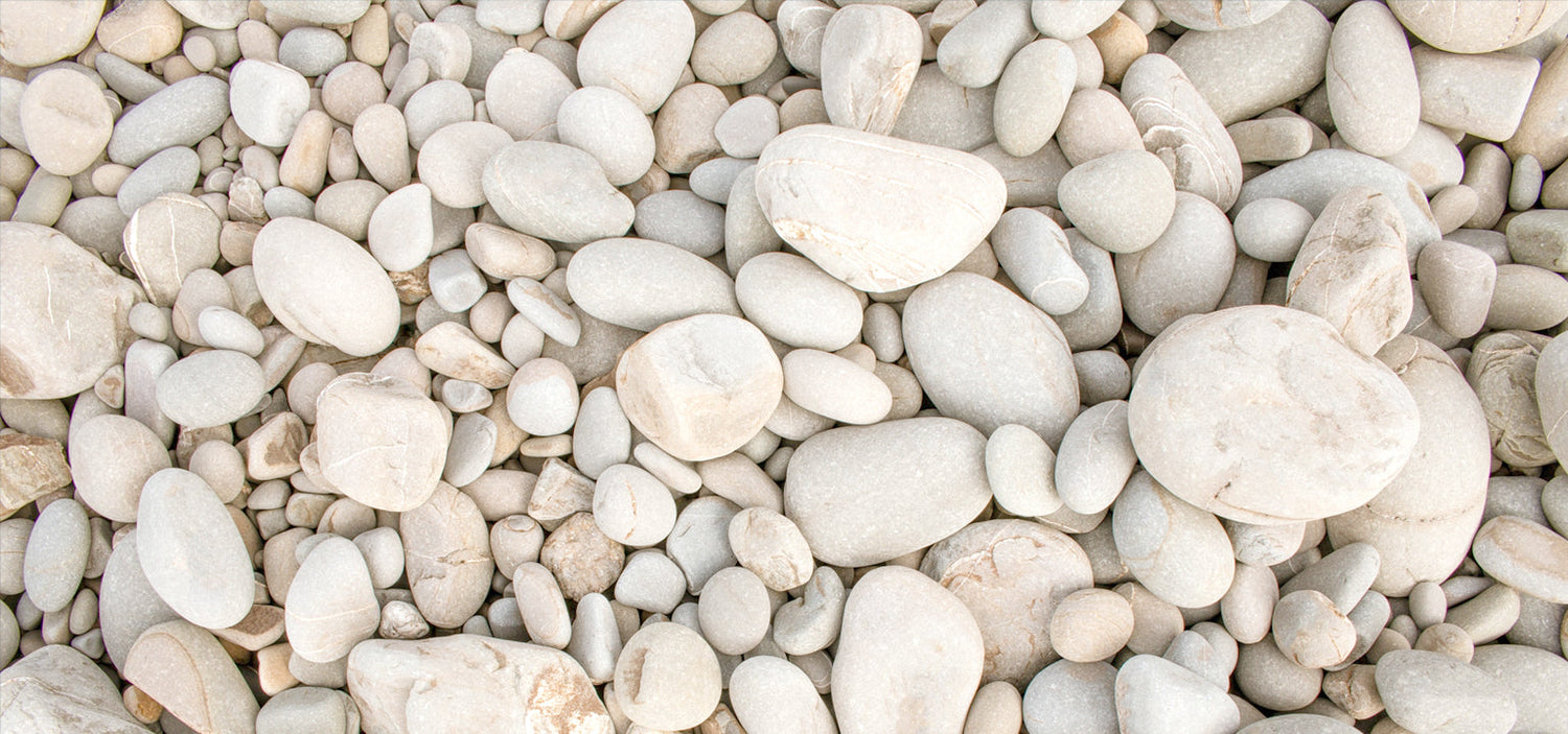 Do You Feel Like You Belong?