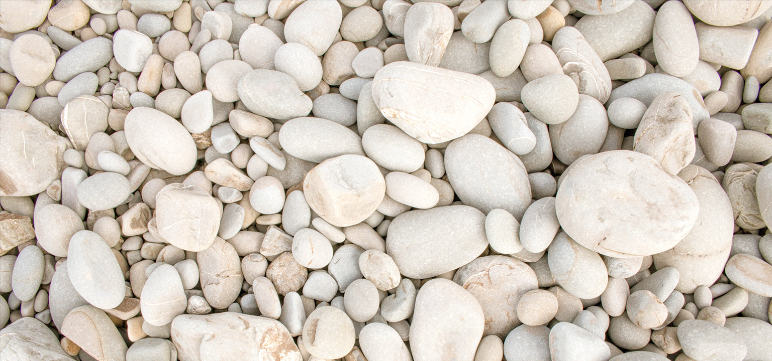 Do You Feel Like You Belong?