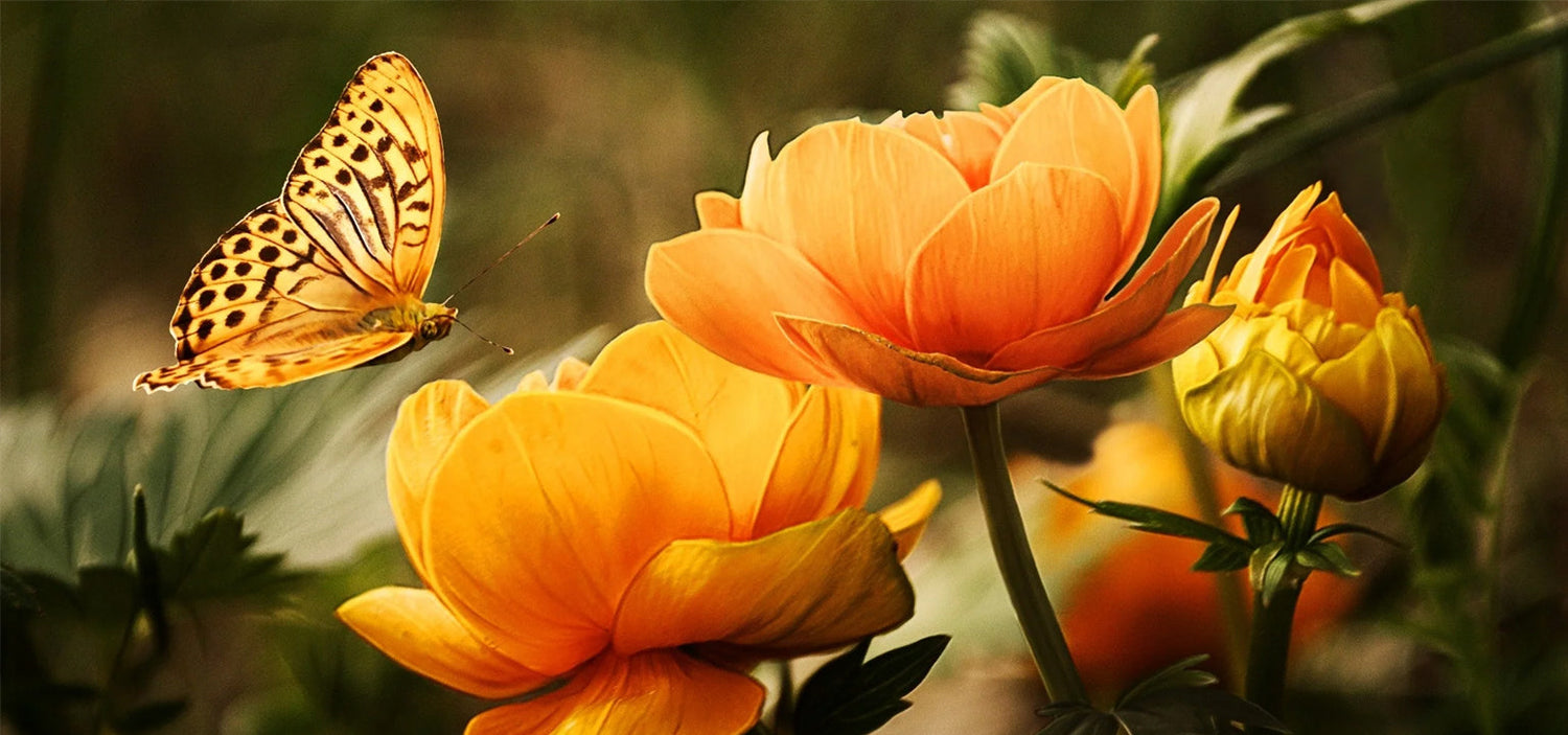 Do Your Actions Match Your Words?