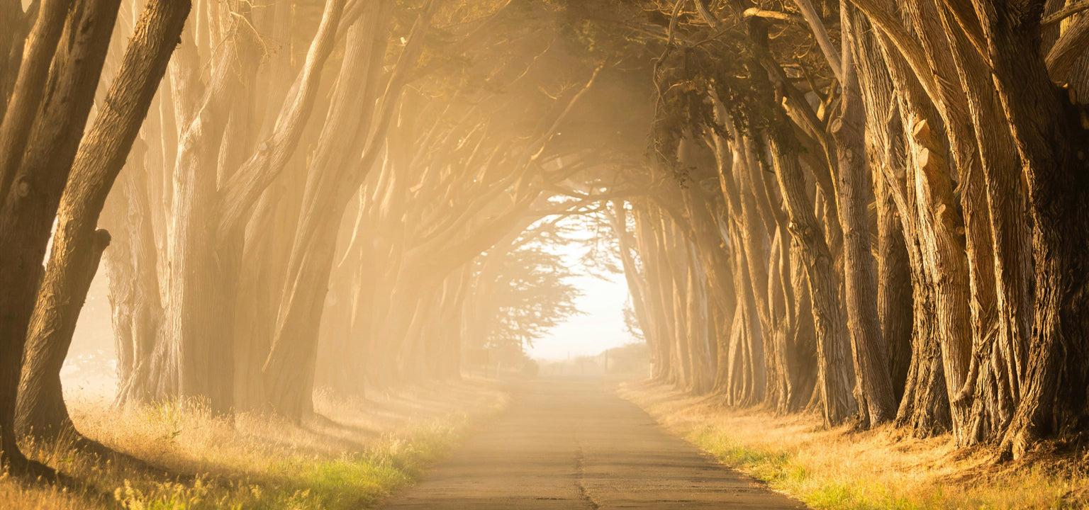 Where Do You Find Quiet in a Noisy World?