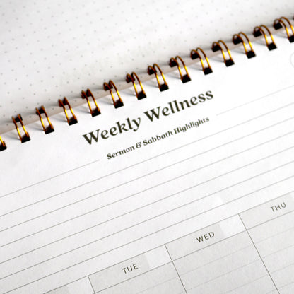 Weekly Wellness Dashboard