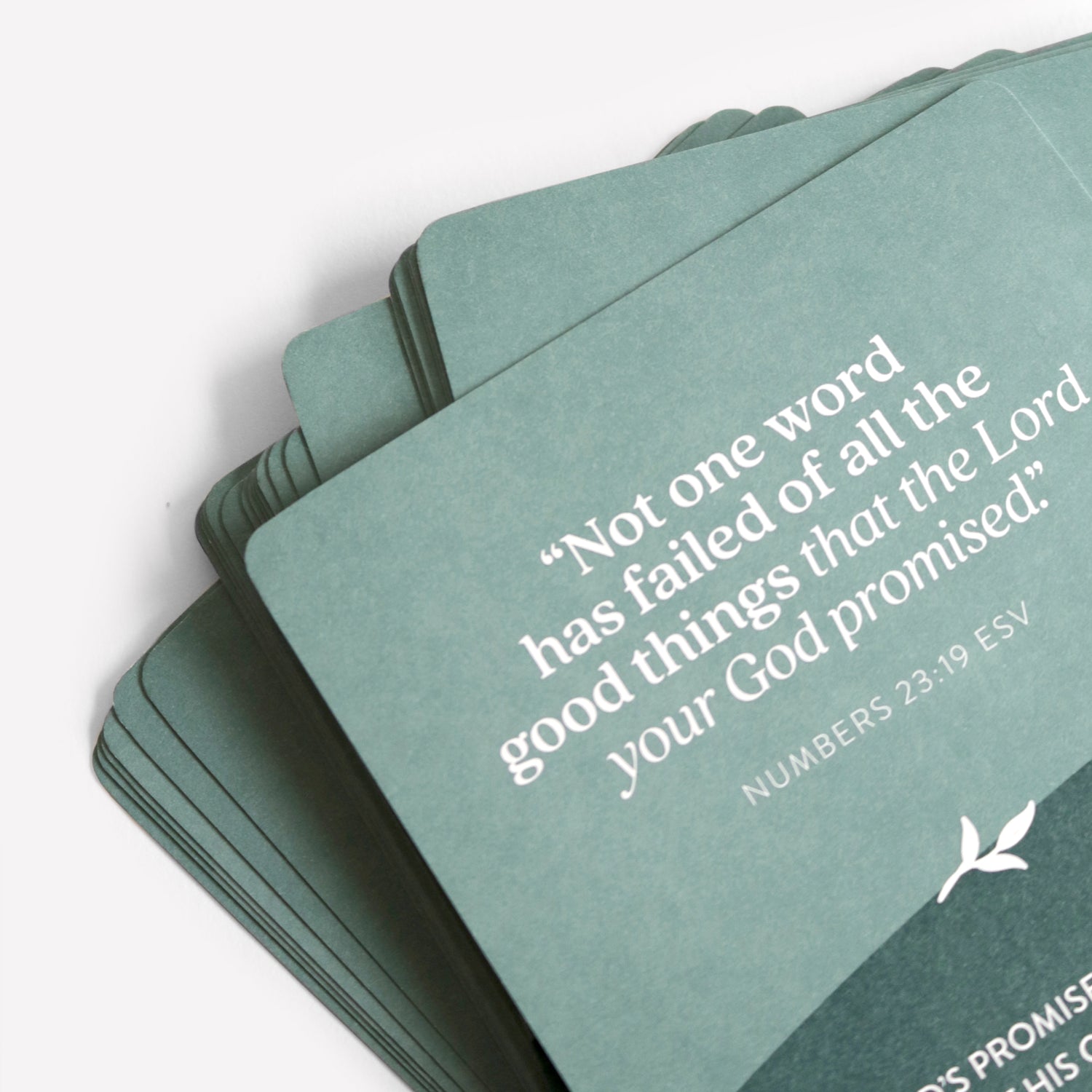 Bible Bundle + Christian Planner