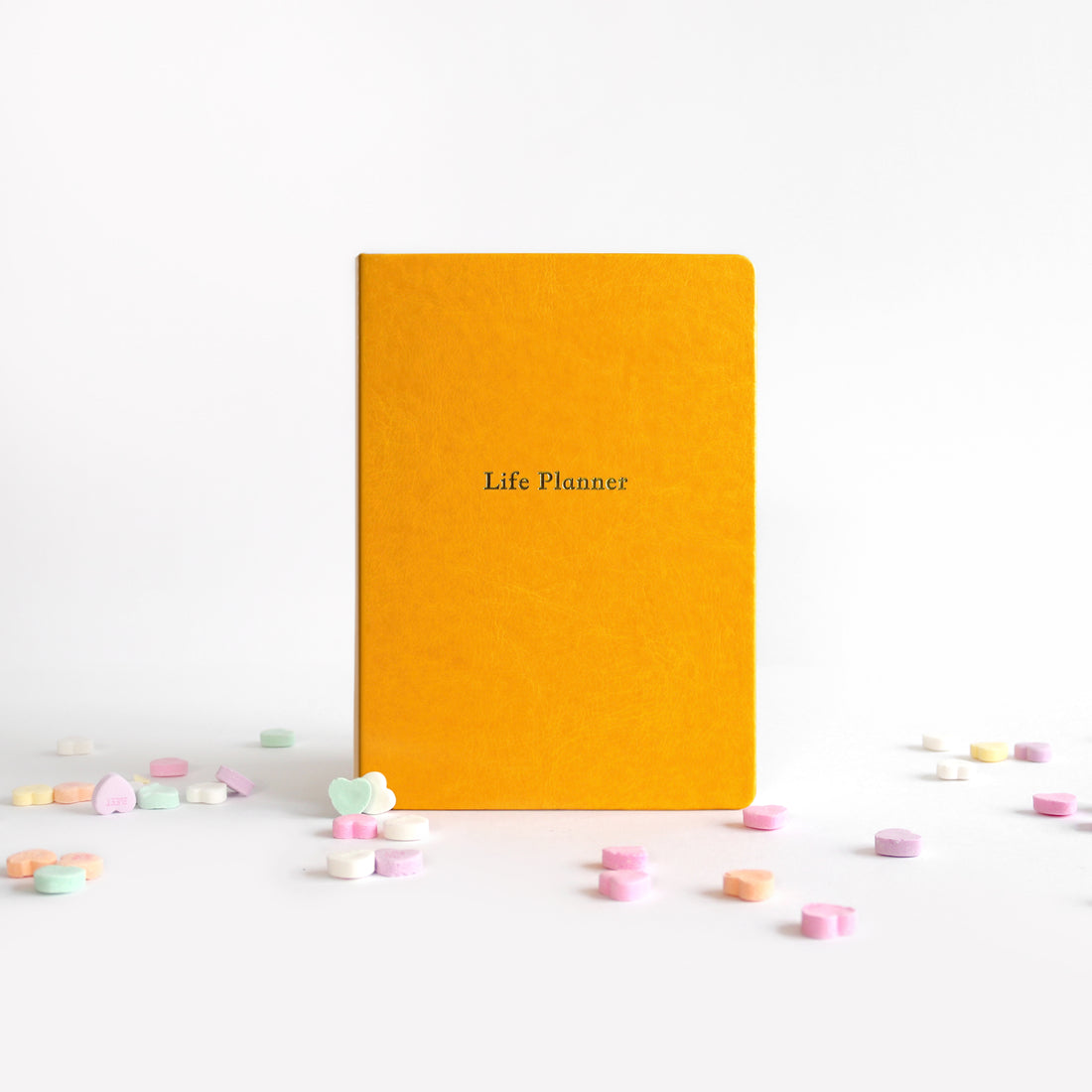 Life Planner | 6 Month Undated